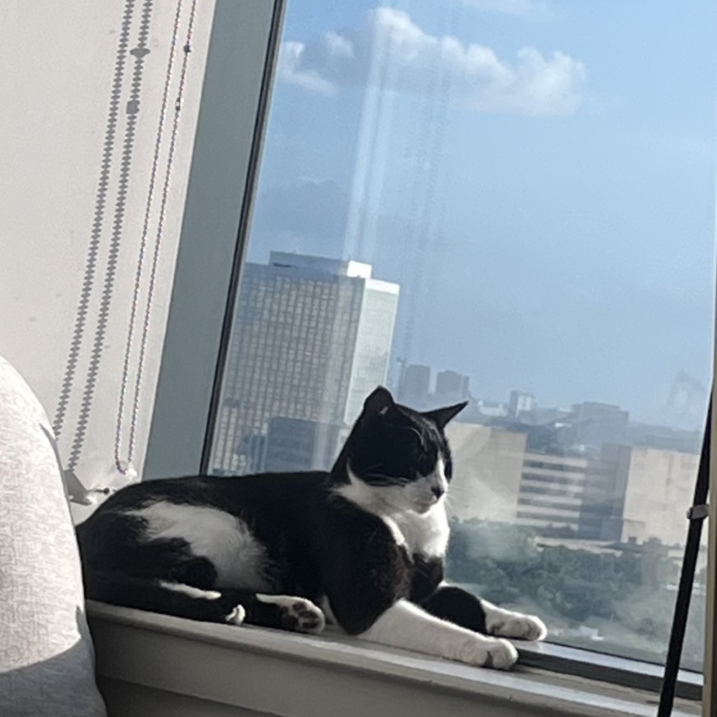 Cookie, photo 3