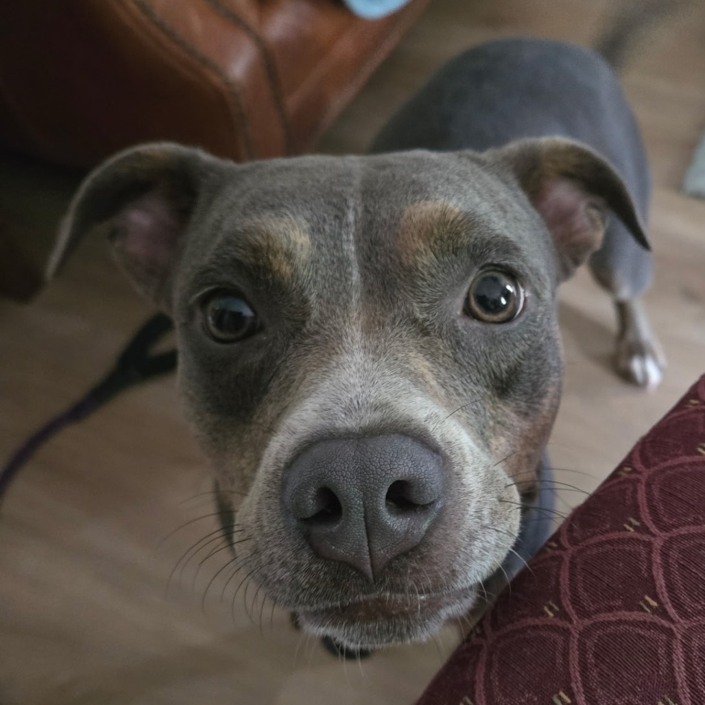 Zoe, photo 2