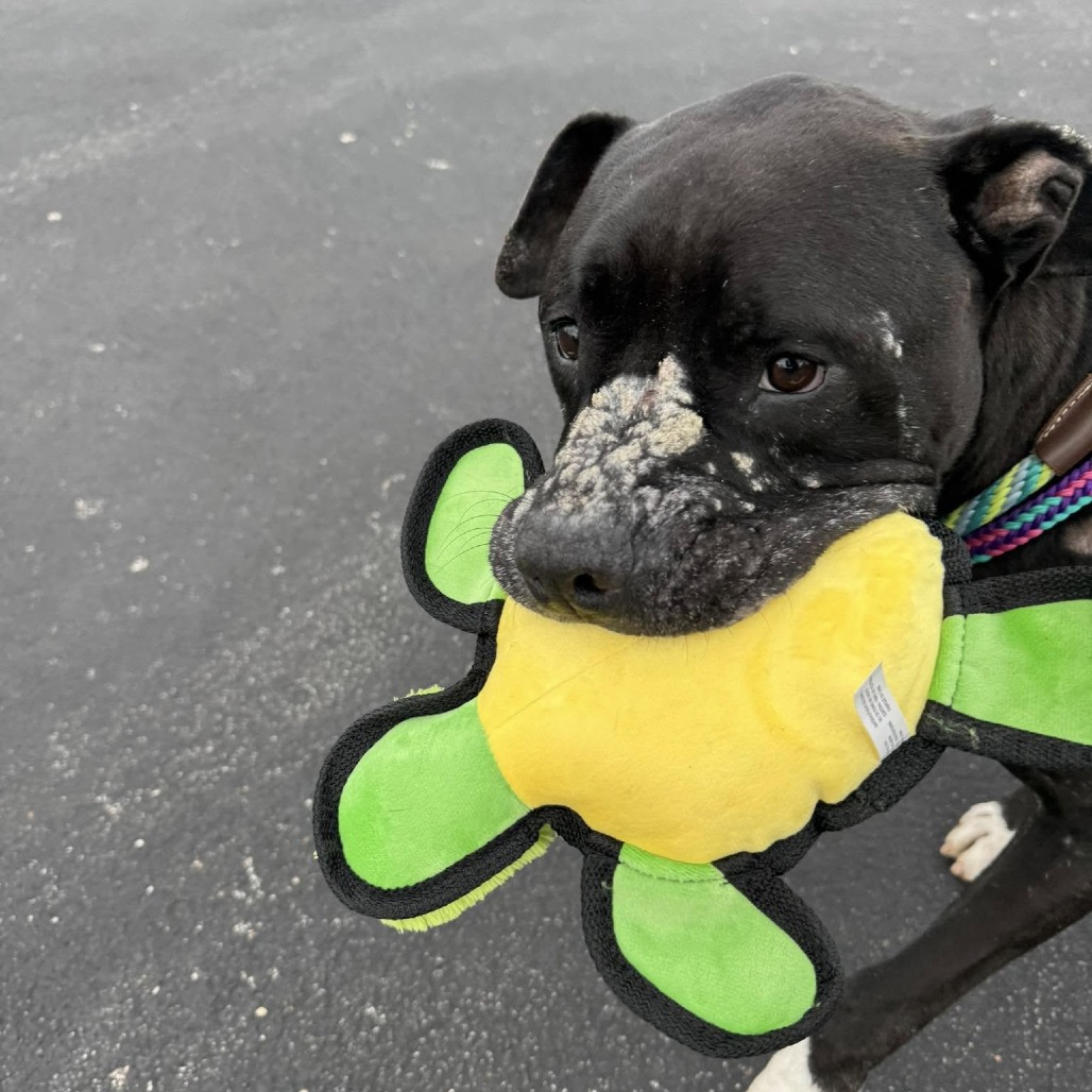 Zaxby, photo 7