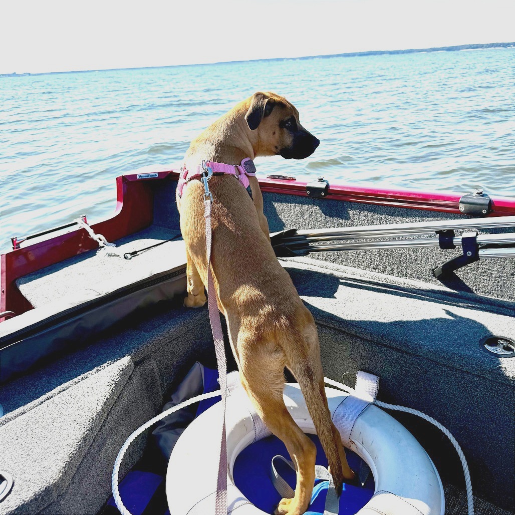 ELISE — thumbnail 7