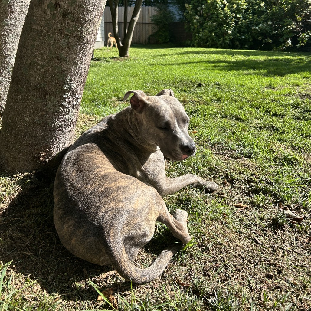 Flicka, photo 25