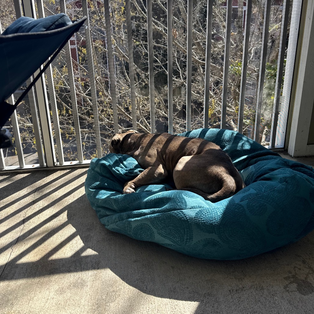 Gargy, photo 26