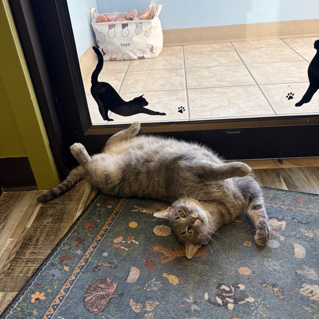 Olive G., photo 13