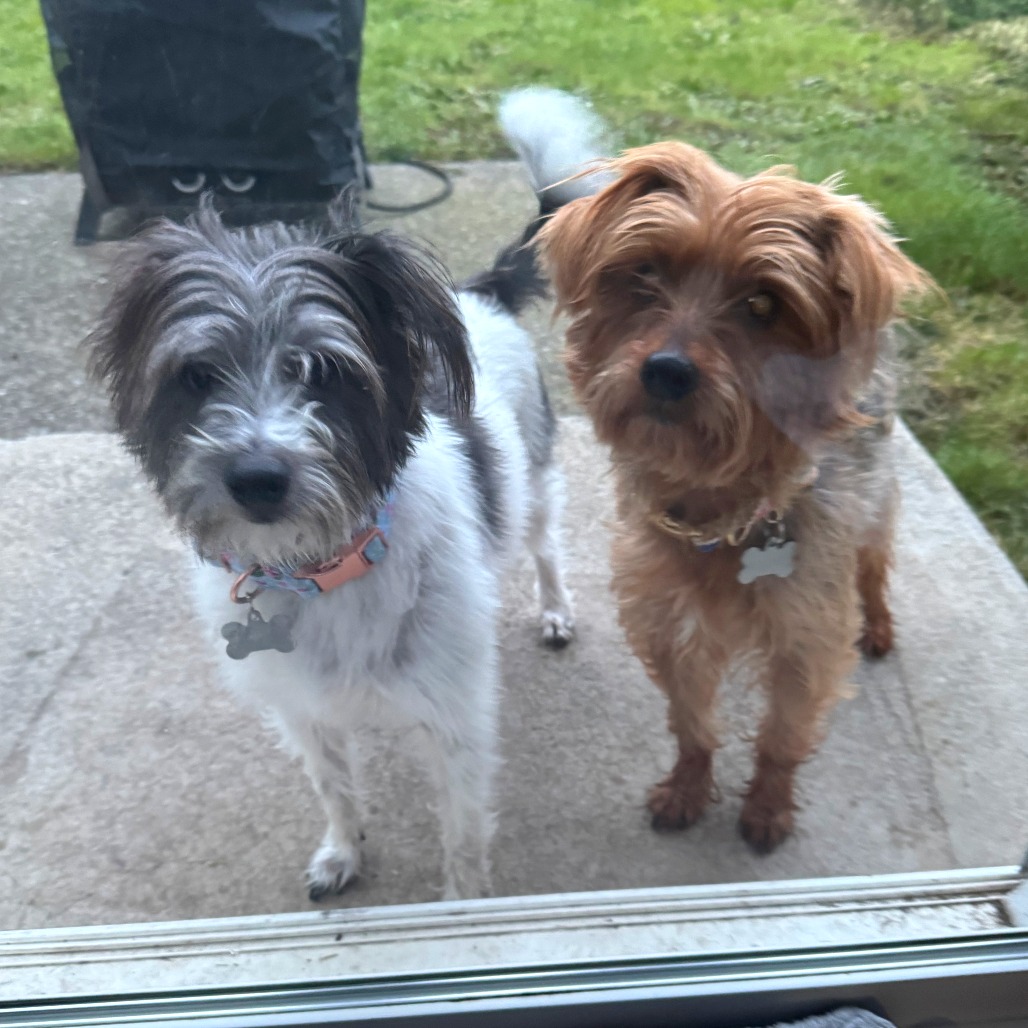 Stormy — thumbnail 2