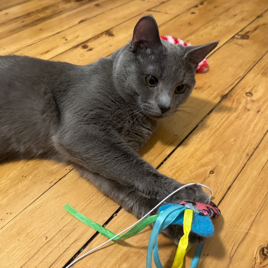 Ares, photo 2