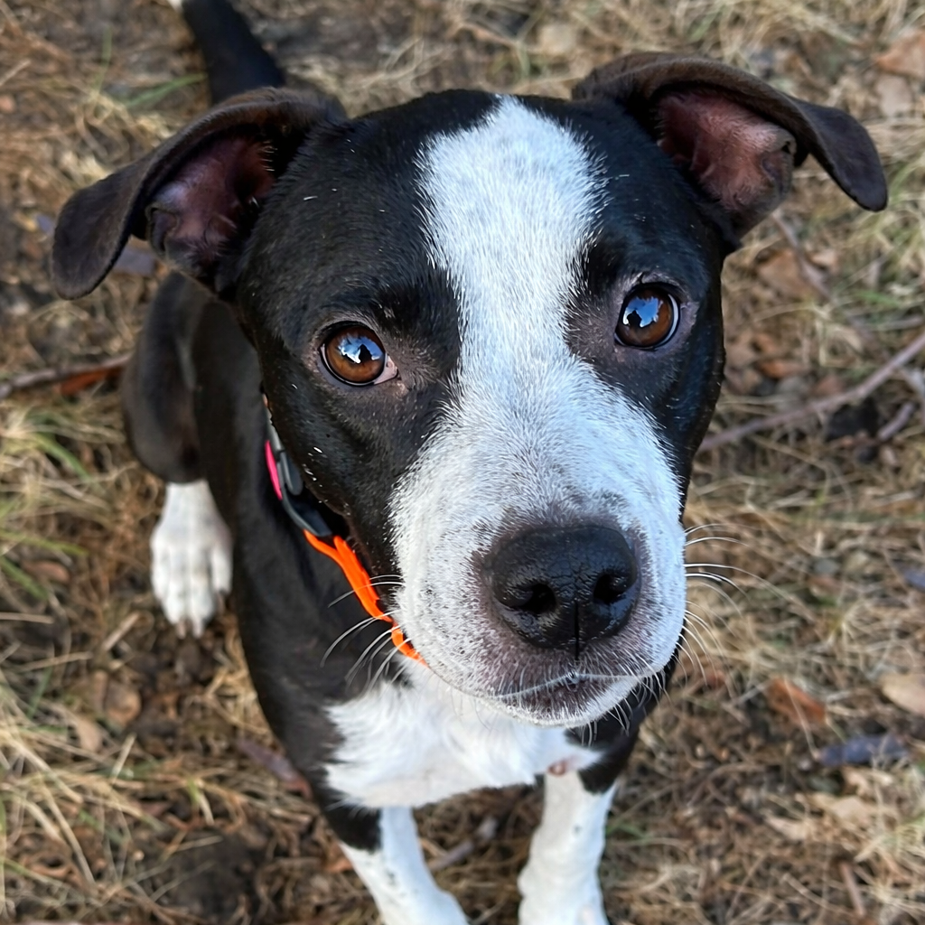 Pippi Longstocking (Mom) photo