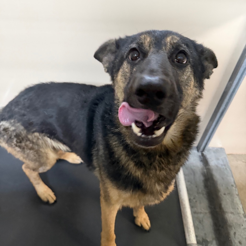 Kennel#14's preview photo