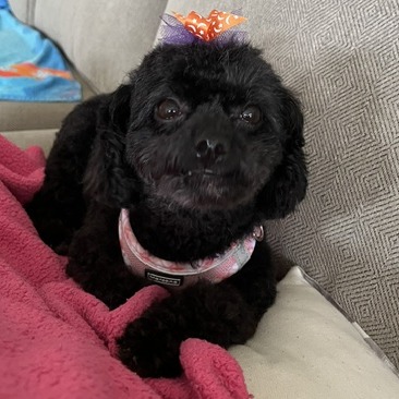 Coco