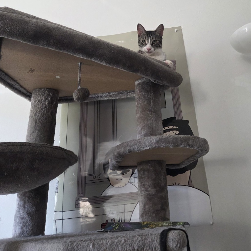 Carl, photo 16