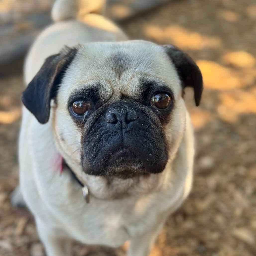 Sally
