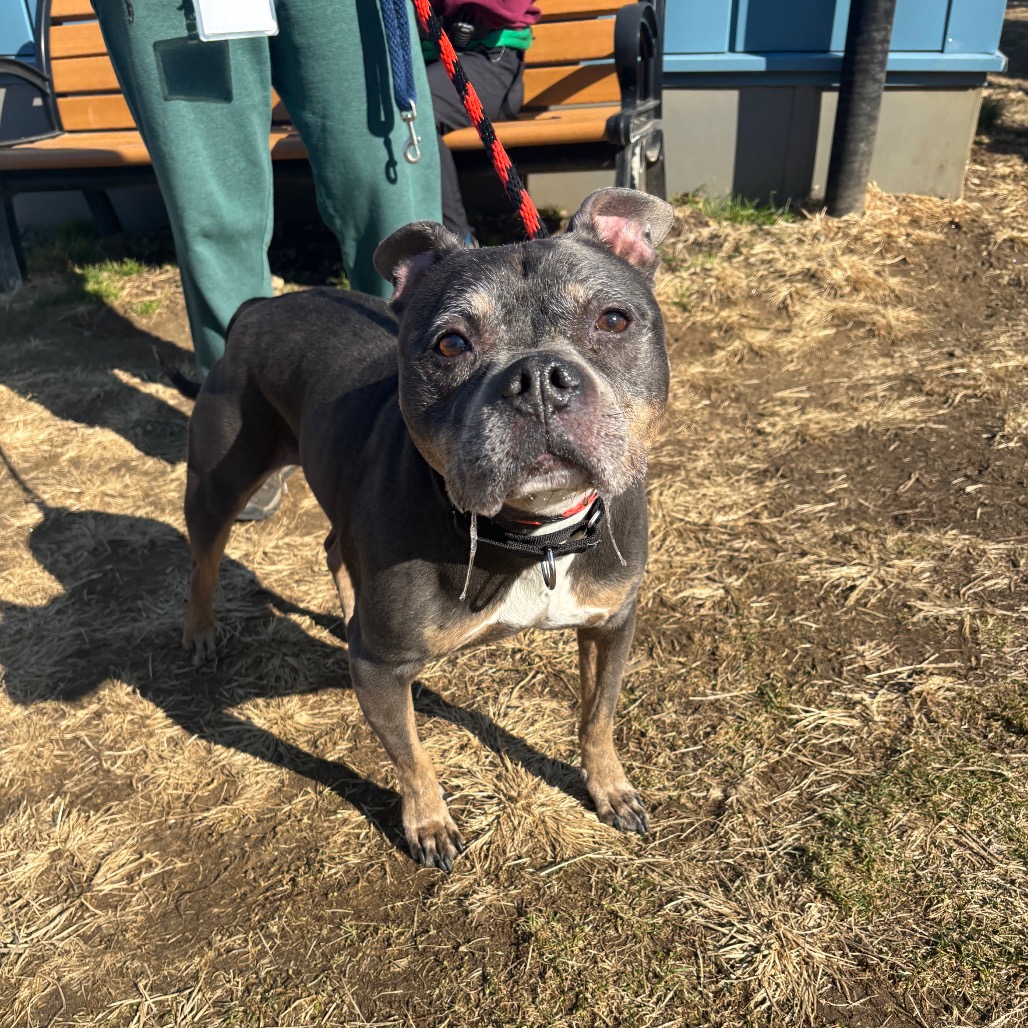 Lucas — thumbnail 5