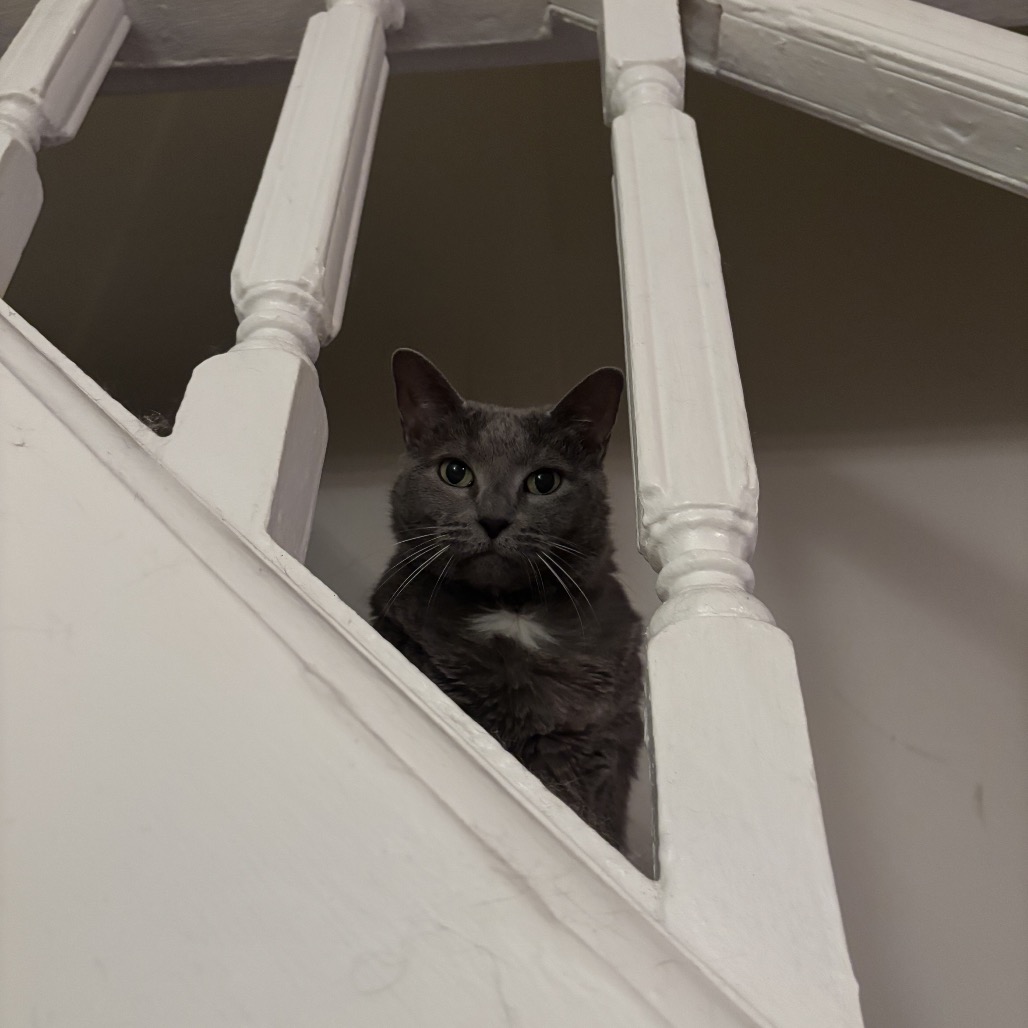 Aggie, photo 12