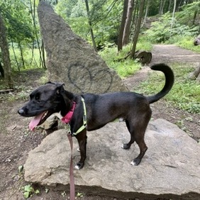 Photo of Chip 14