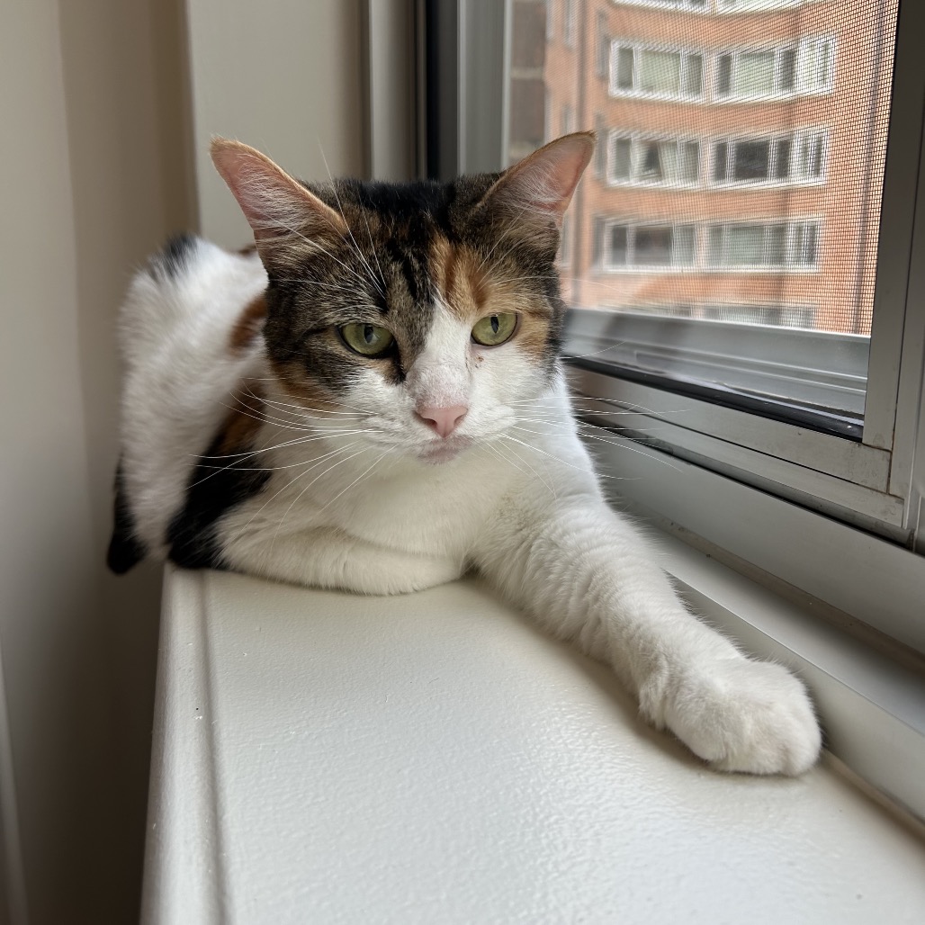 Sandy — thumbnail 4