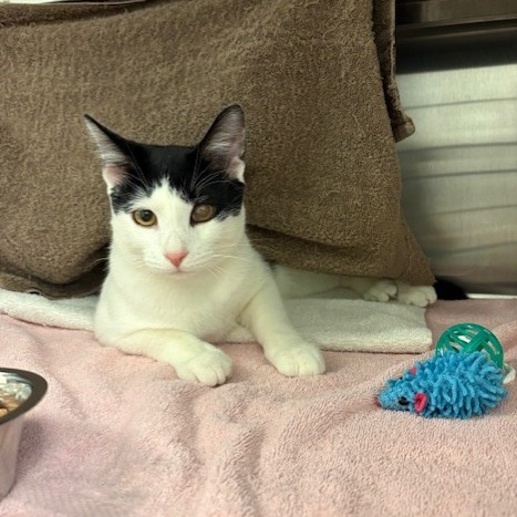 Photo of Huey Lewis 4