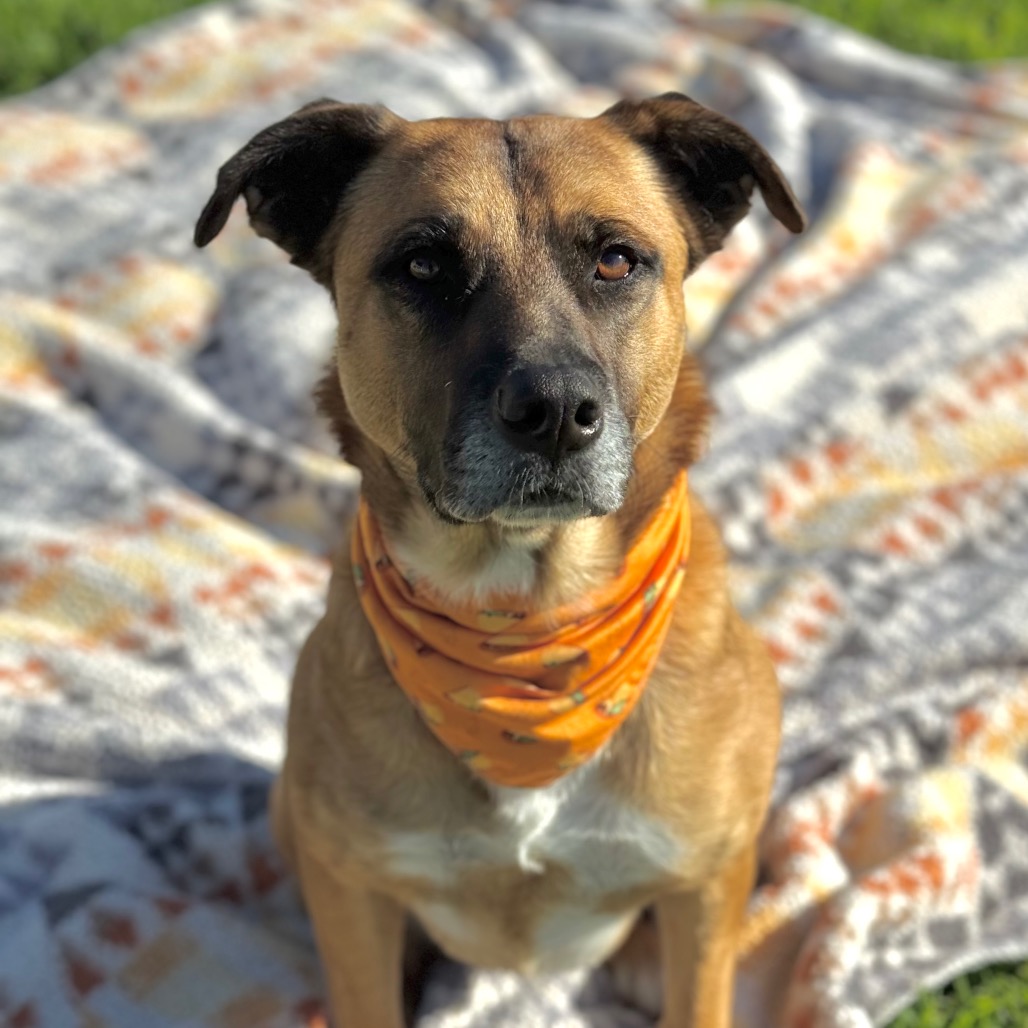 Bubz, photo 29