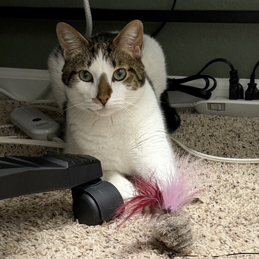 Karma-Foster, photo 6