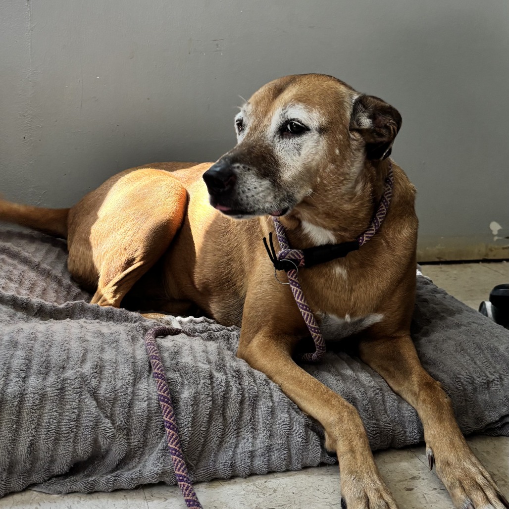 Ethel, additional photo