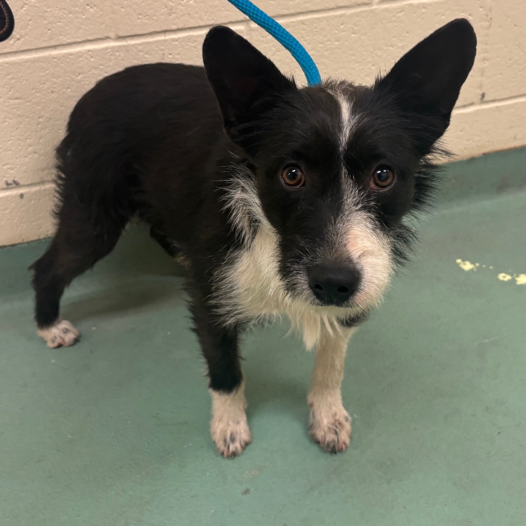 Squirt — thumbnail 2