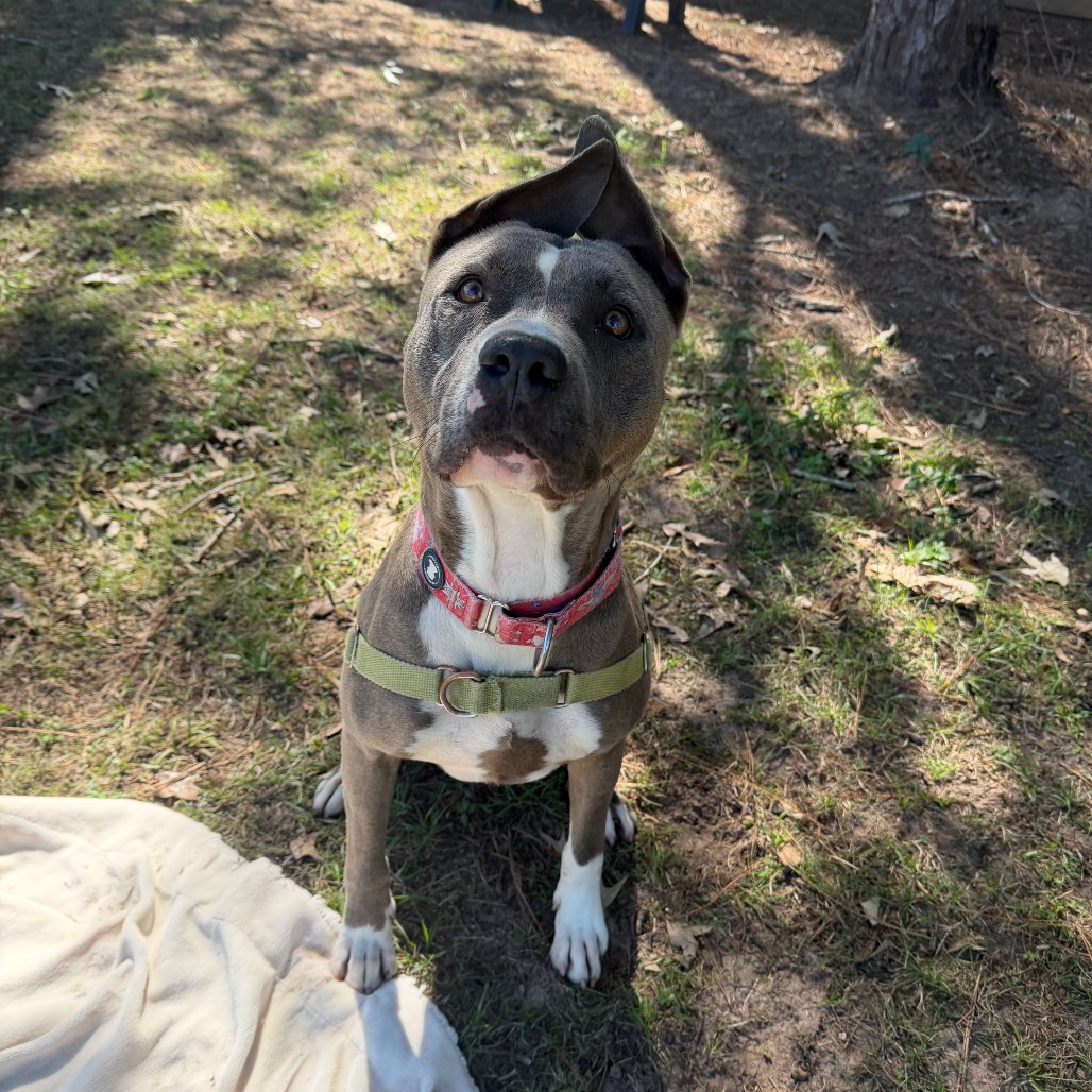 Hondo, photo 22