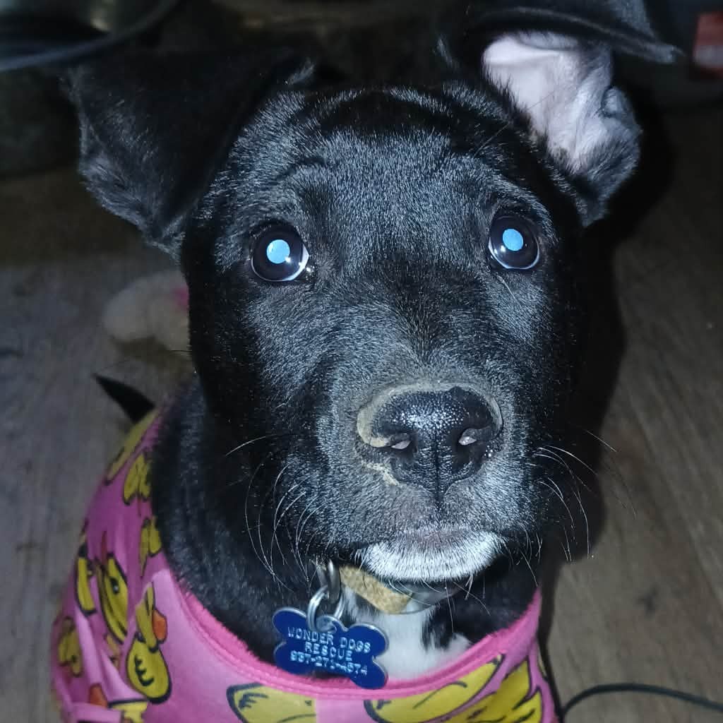 Coco, photo 7