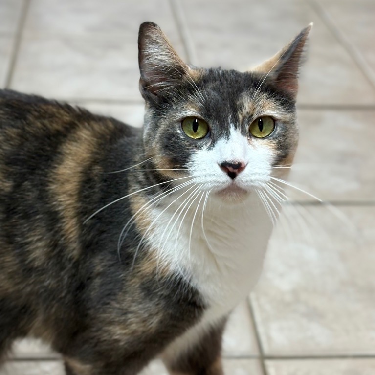 Image of Rosaline looking at the camera