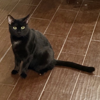 Candy Land — thumbnail 7