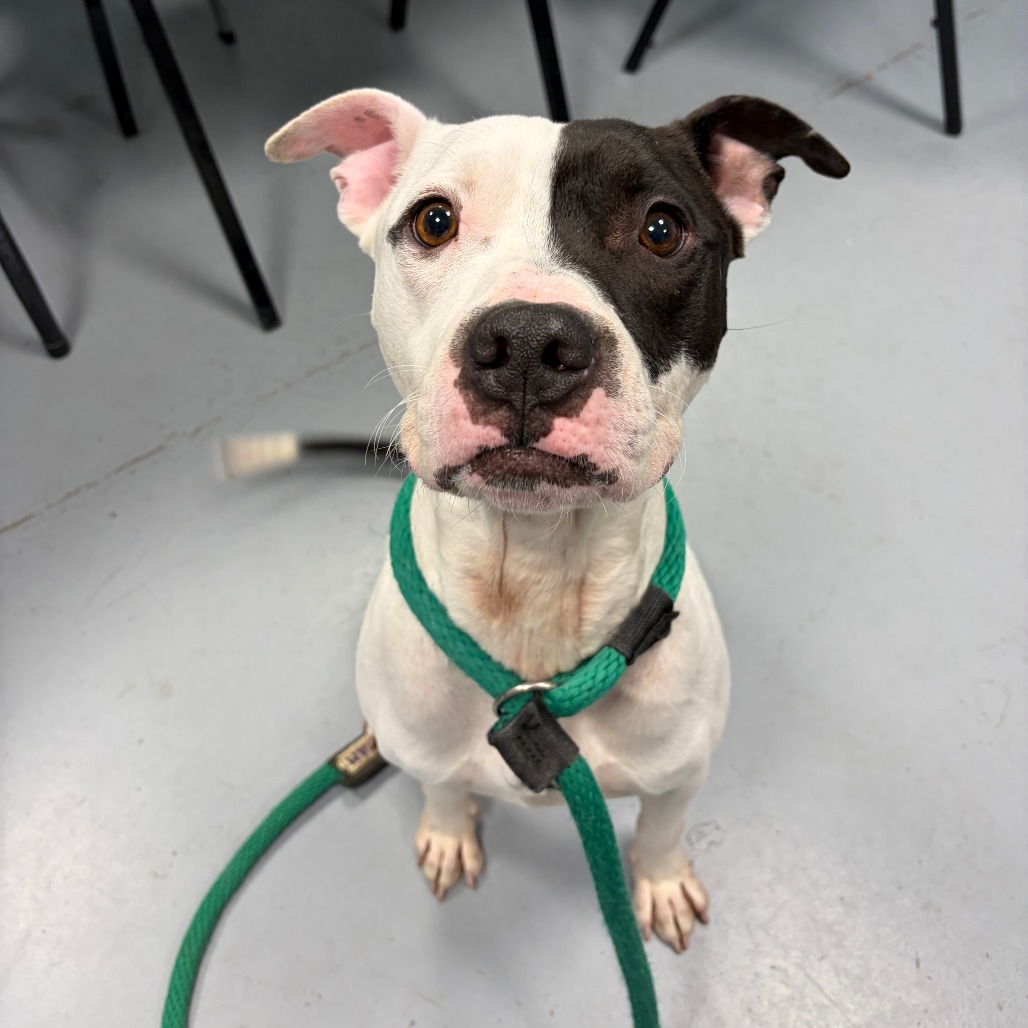 Zero — thumbnail 5