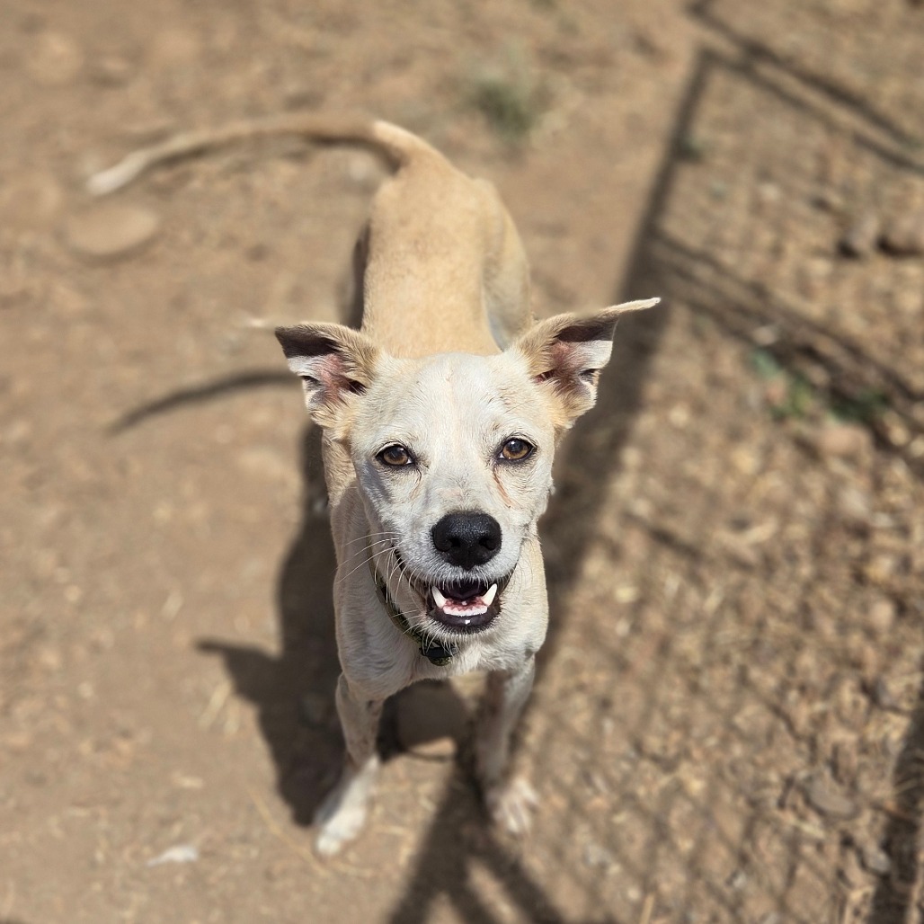 Fran — thumbnail 3