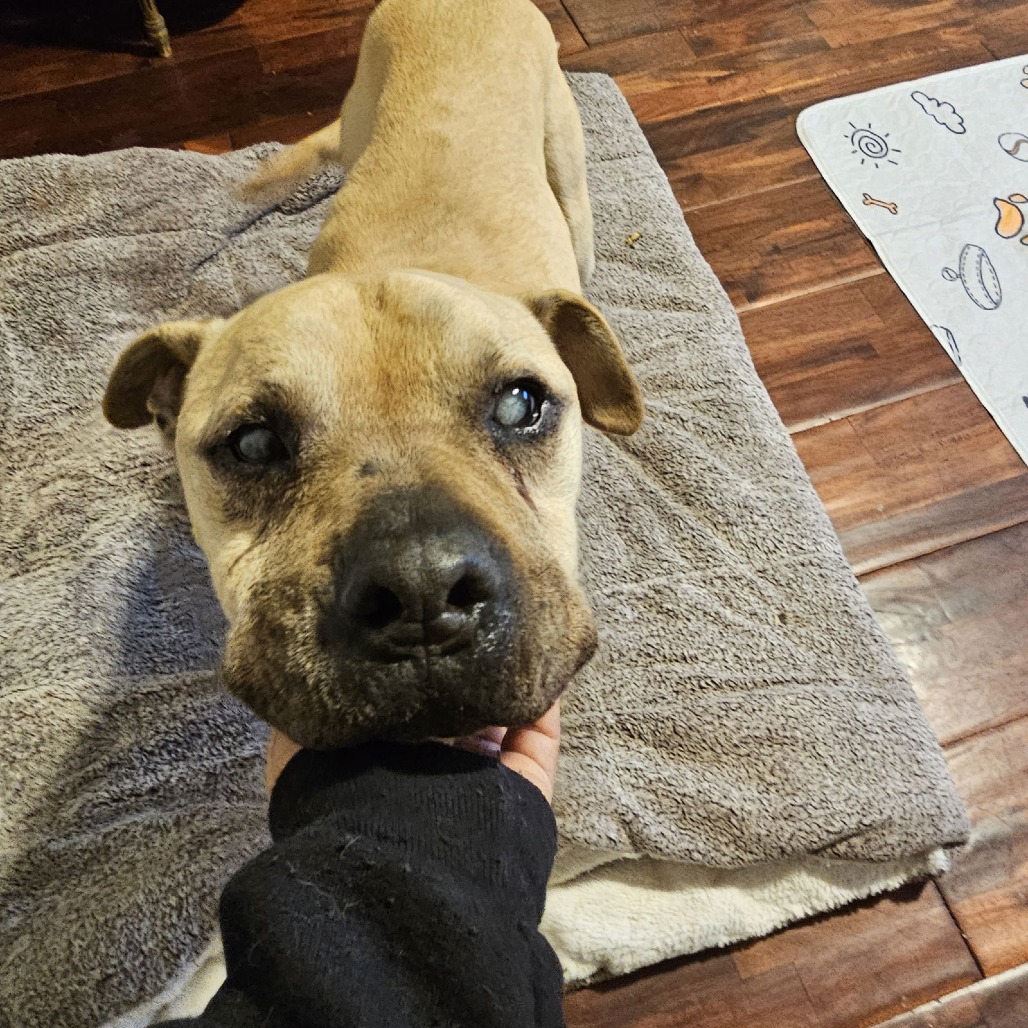 RUBBLE — thumbnail 4