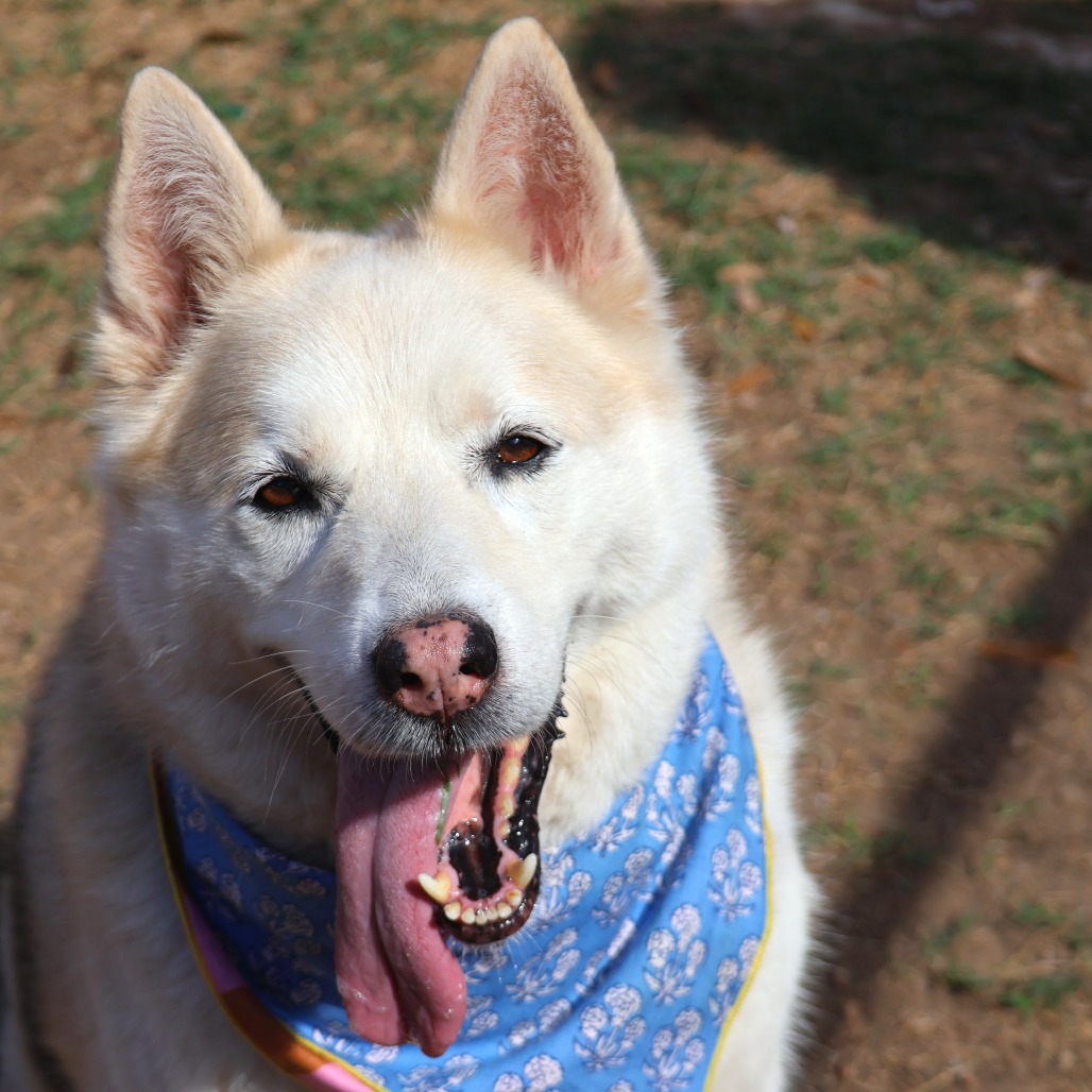 Stormy Weather — thumbnail 7