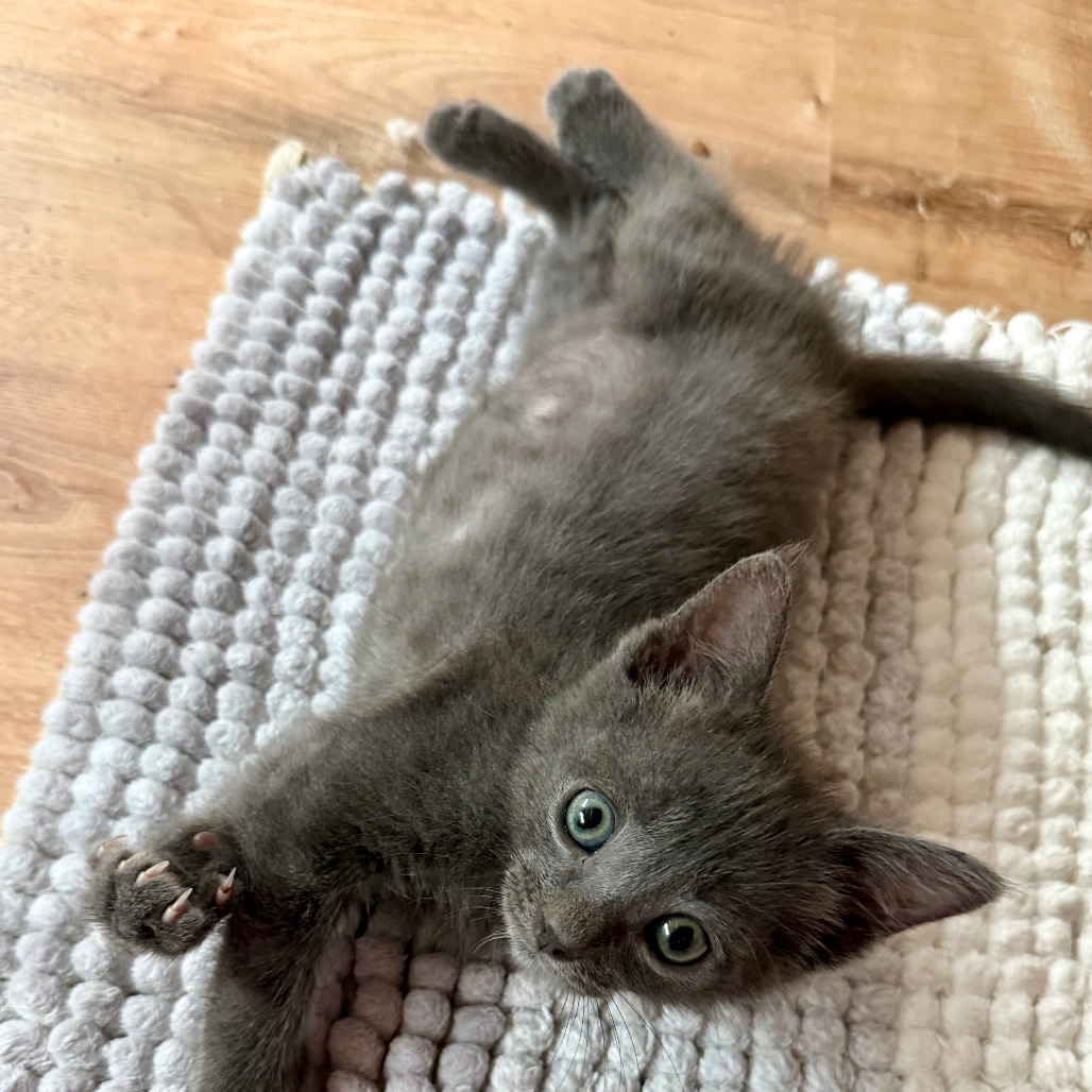 Ted, photo 6