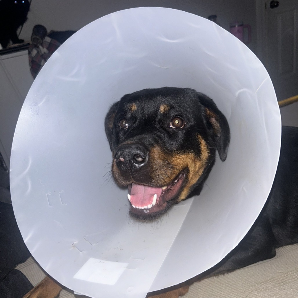 Charity — thumbnail 8