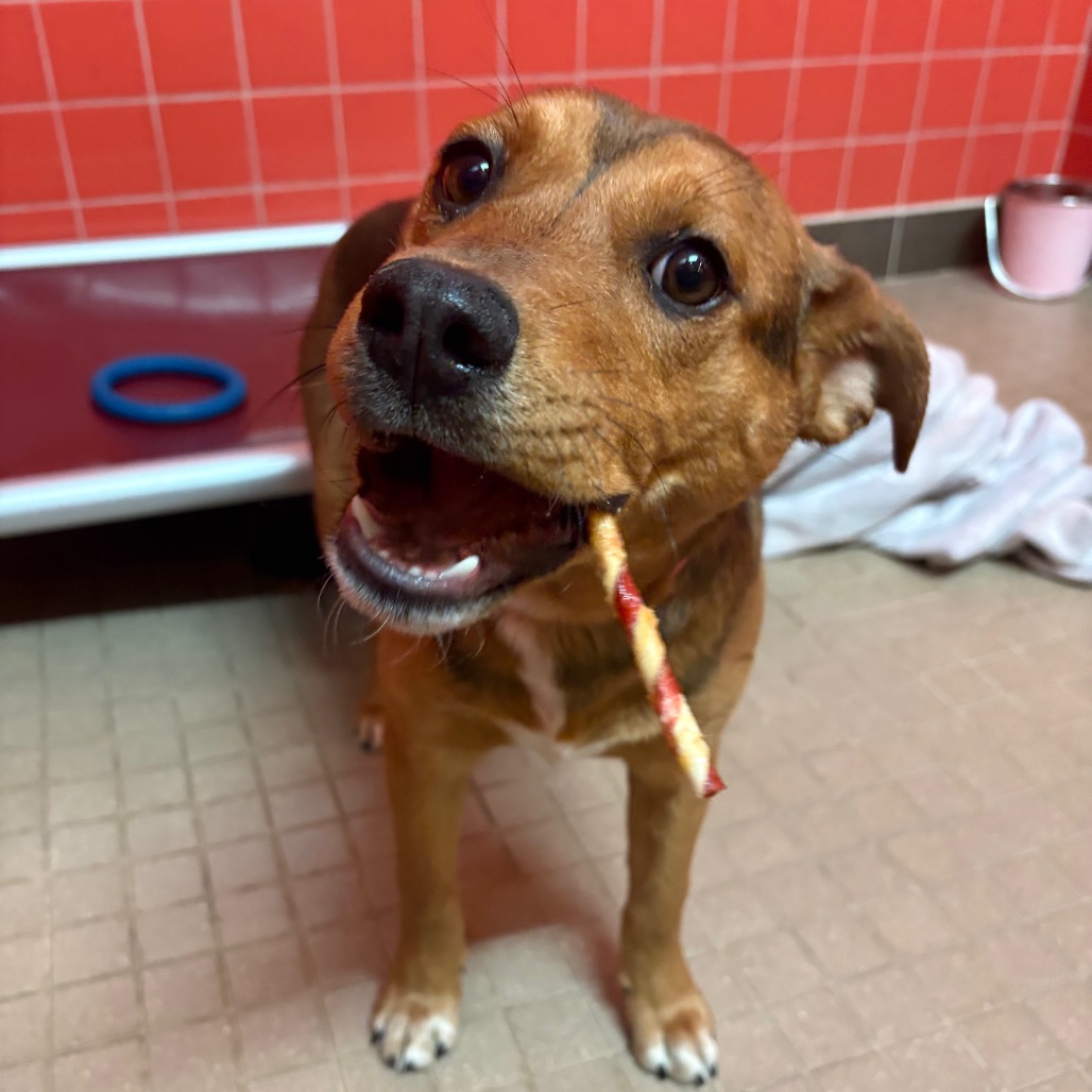 Santa Fe — thumbnail 5