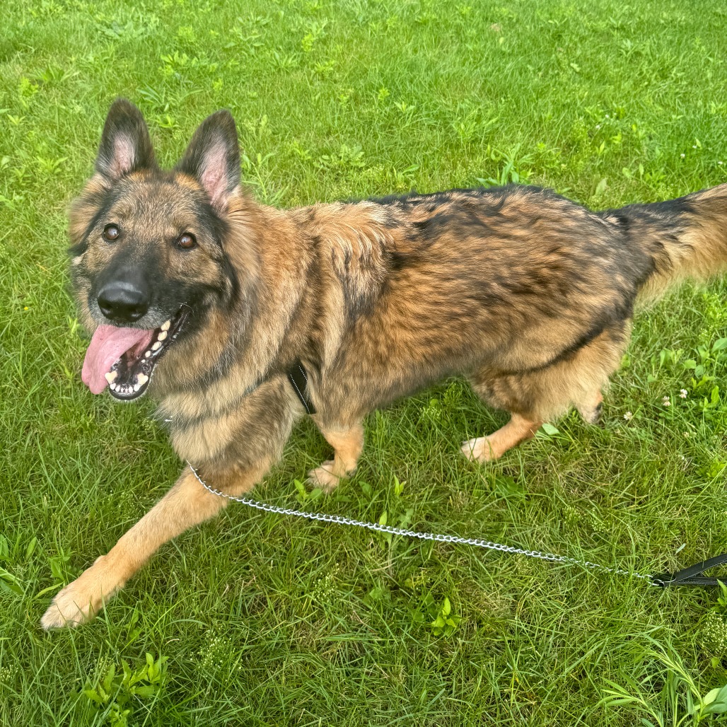 Frieda