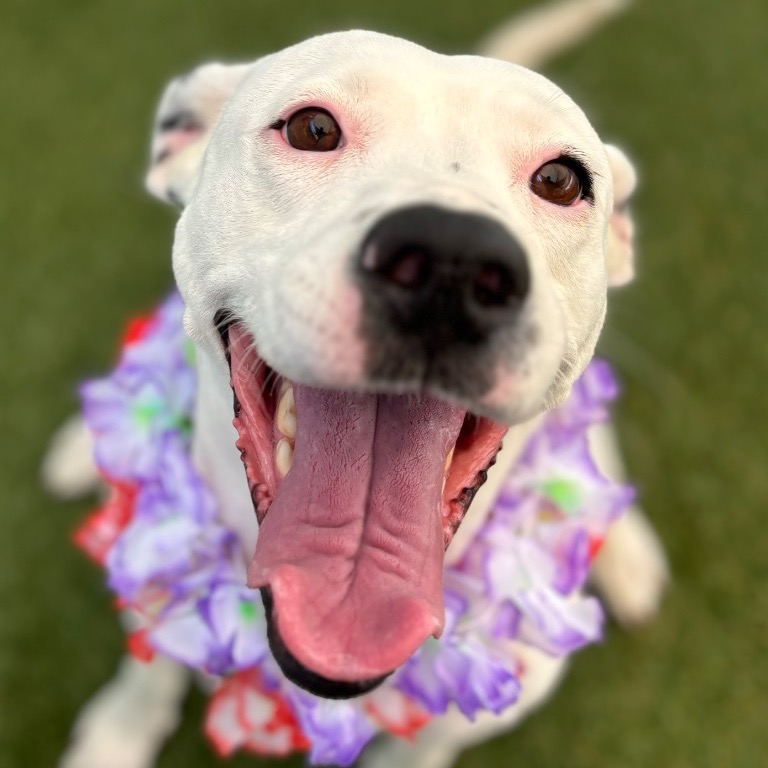 Image of Nana looking at the camera