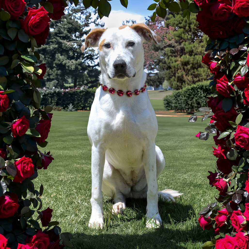 Photo of Laney