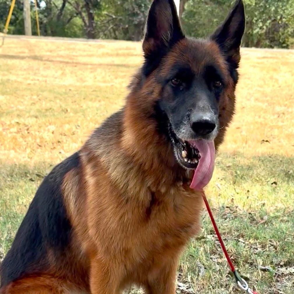 Photo of Zeva