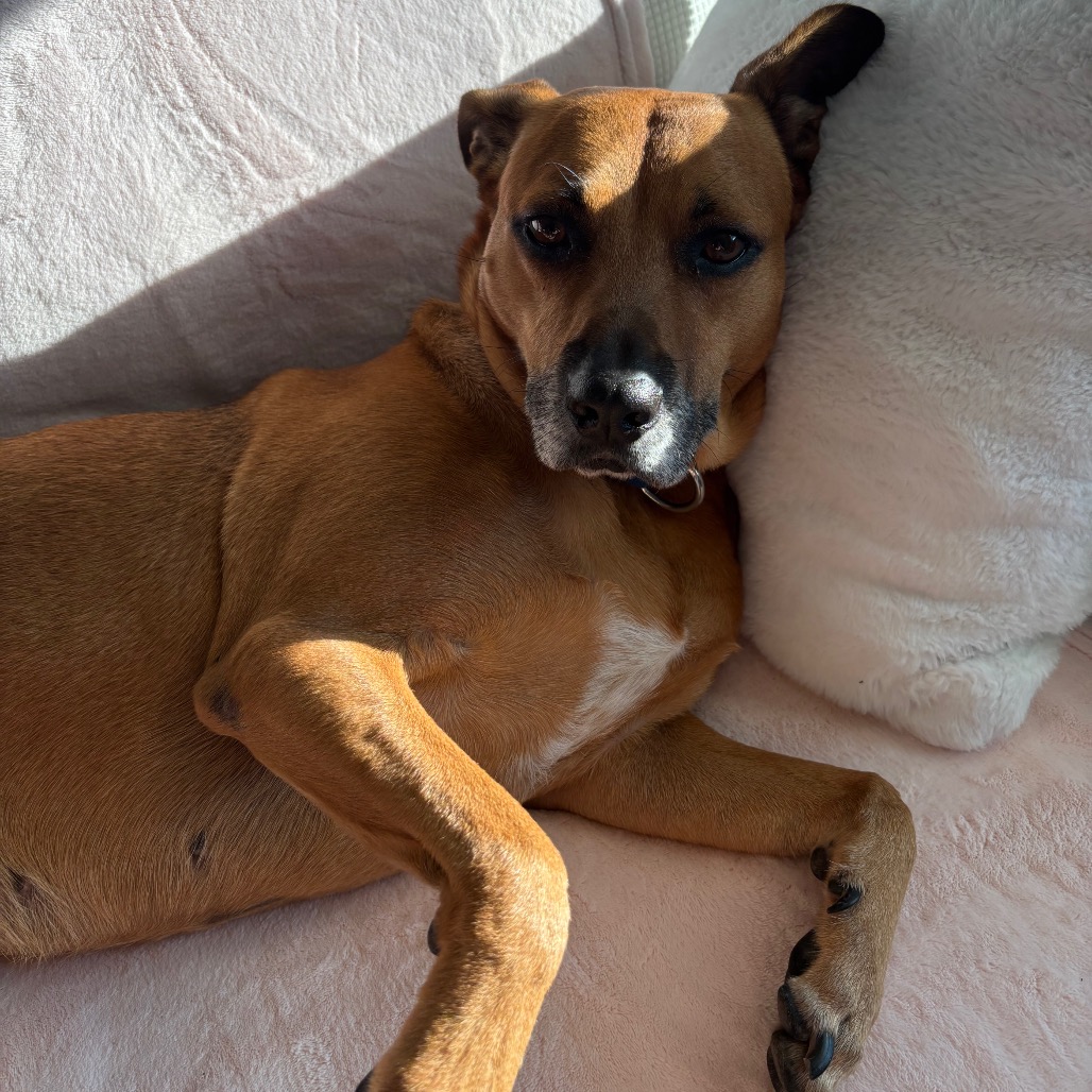 Honey — thumbnail 7