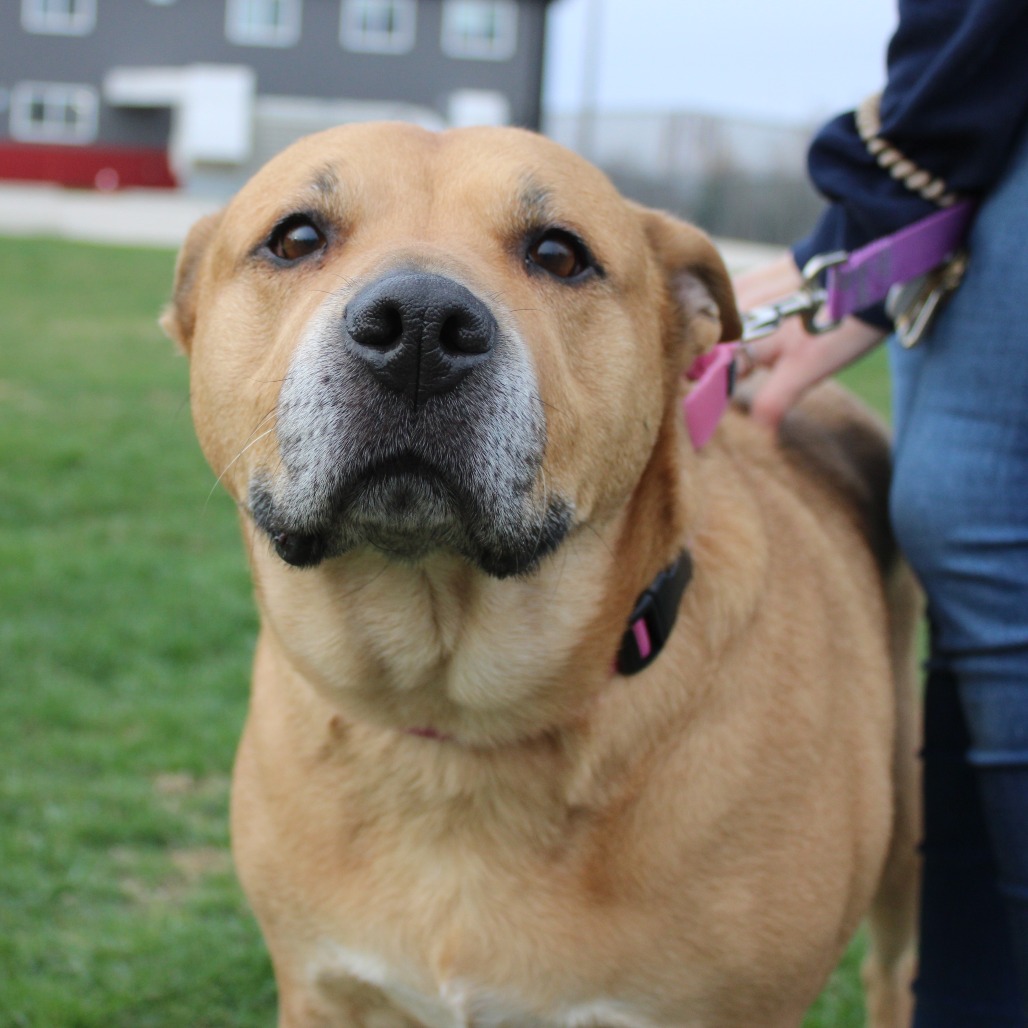 Tella Rose — thumbnail 3