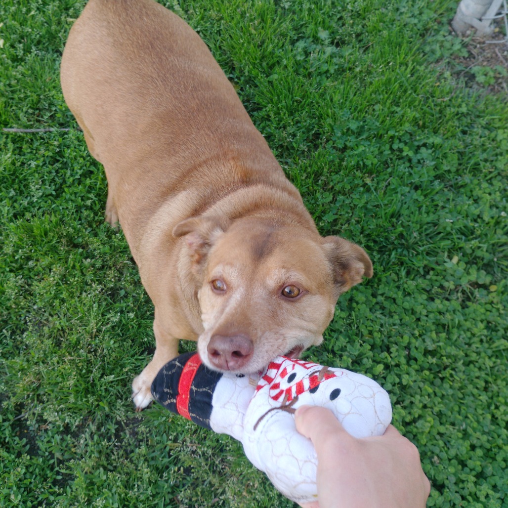 Max photo 3