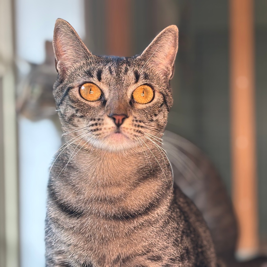 Miss Beans, photo 3