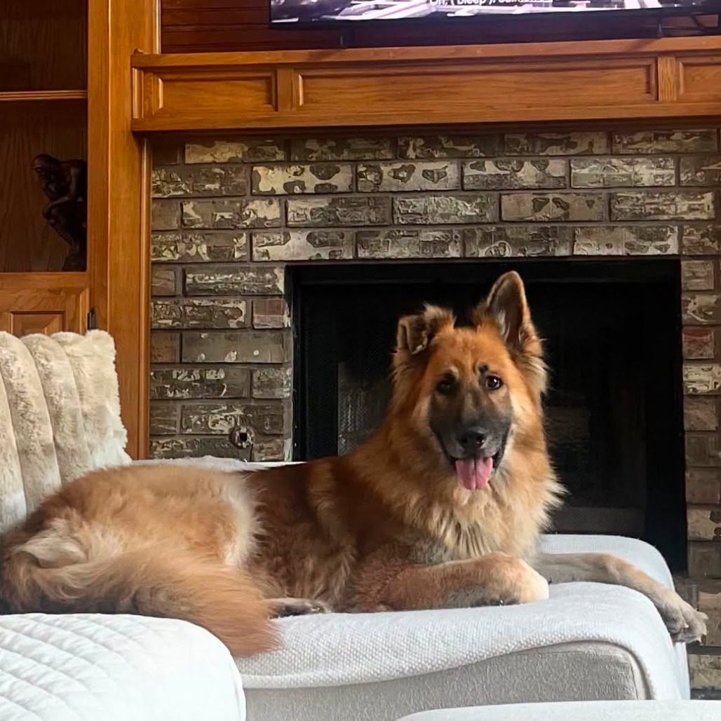 Photo of Lewis Aka King Louis