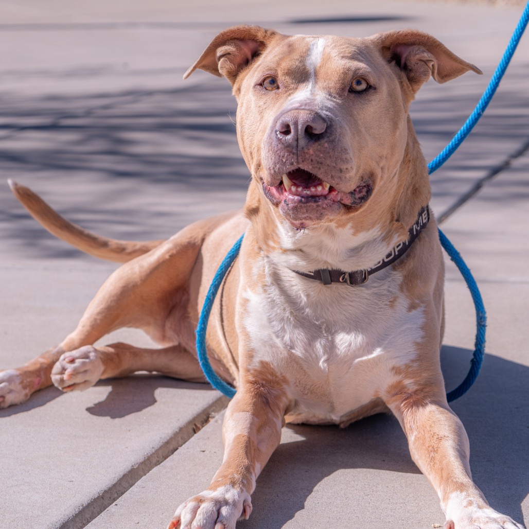 Velma — thumbnail 5