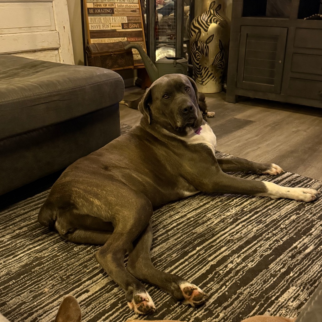 Big Luna, photo 15
