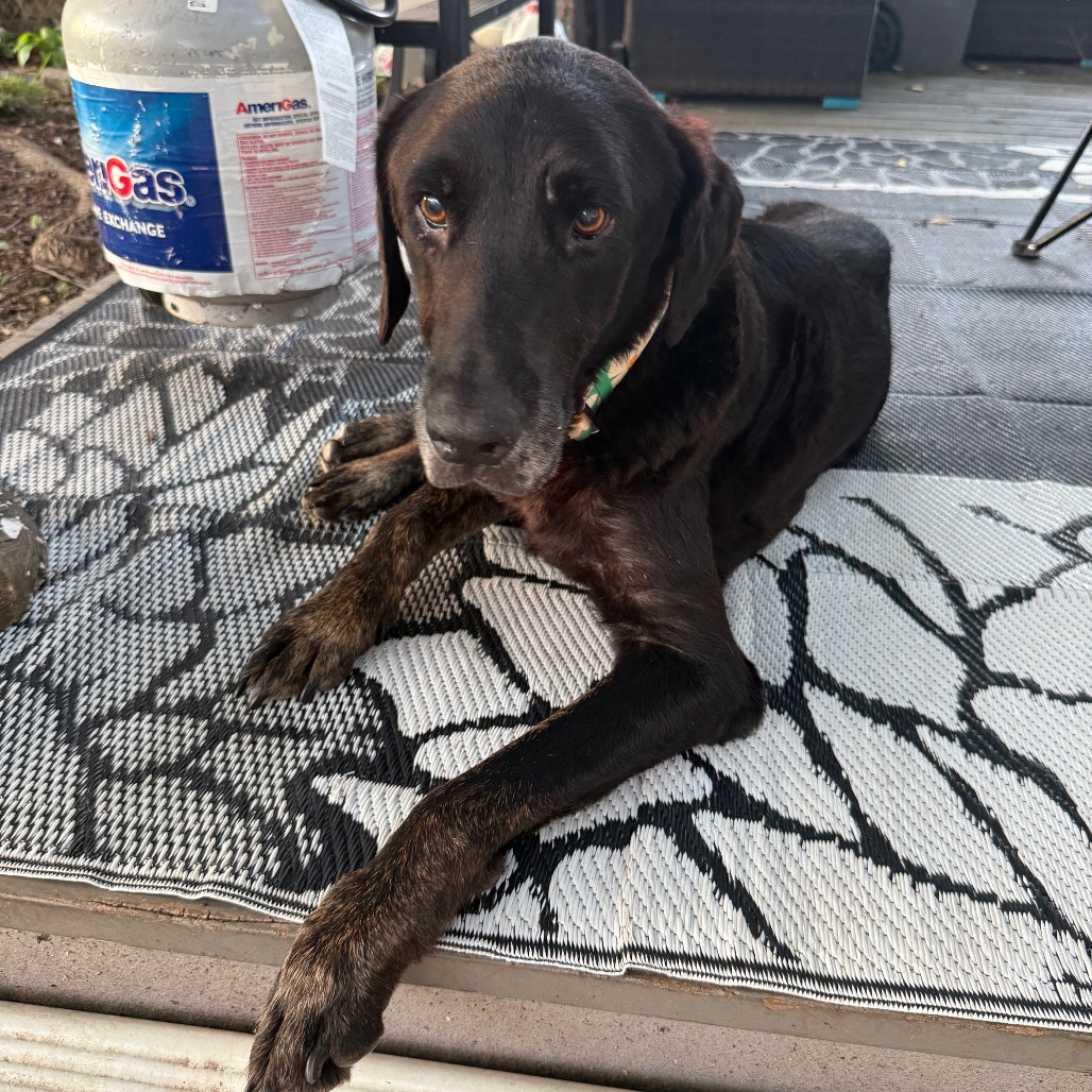 Bodie, photo 15