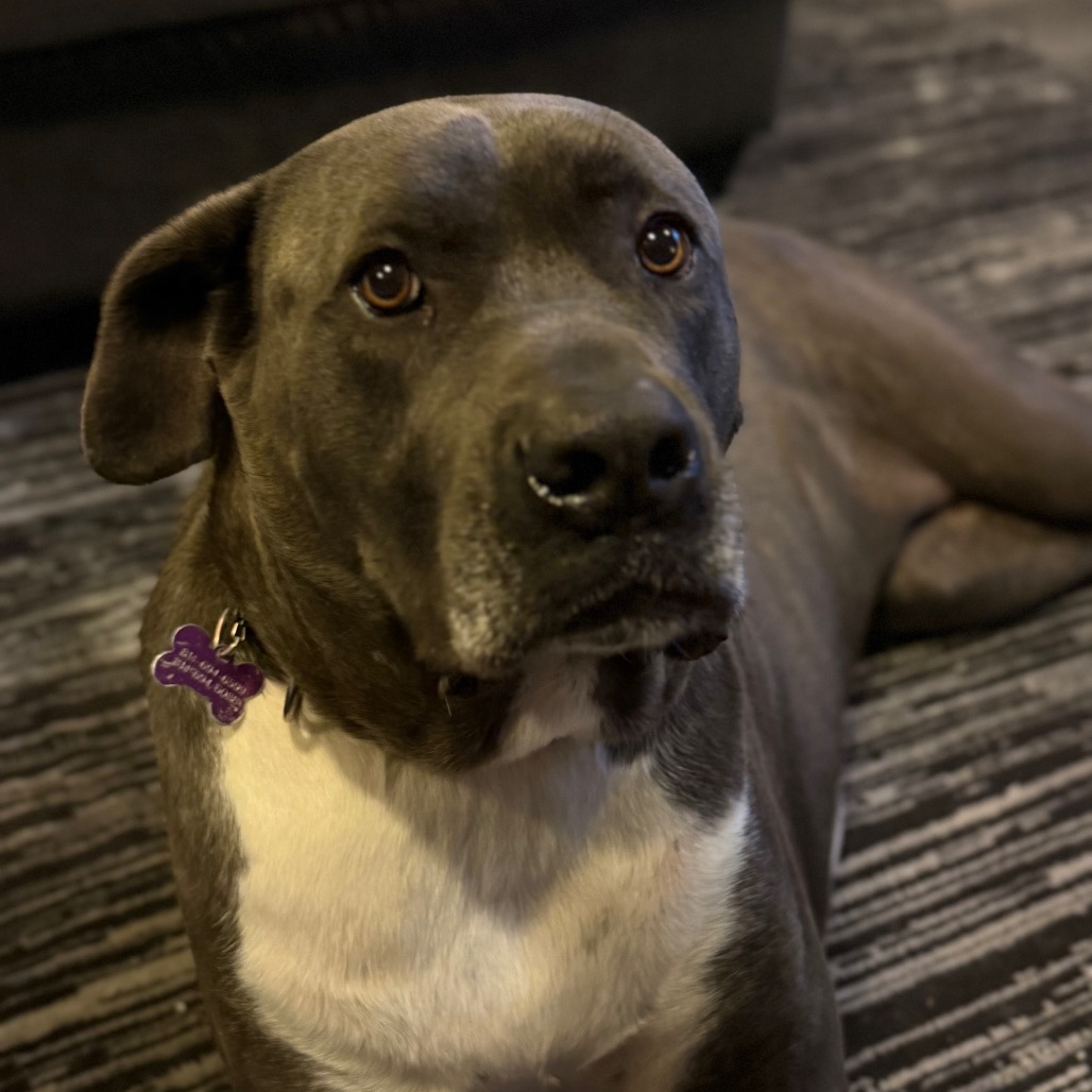 Big Luna, photo 16