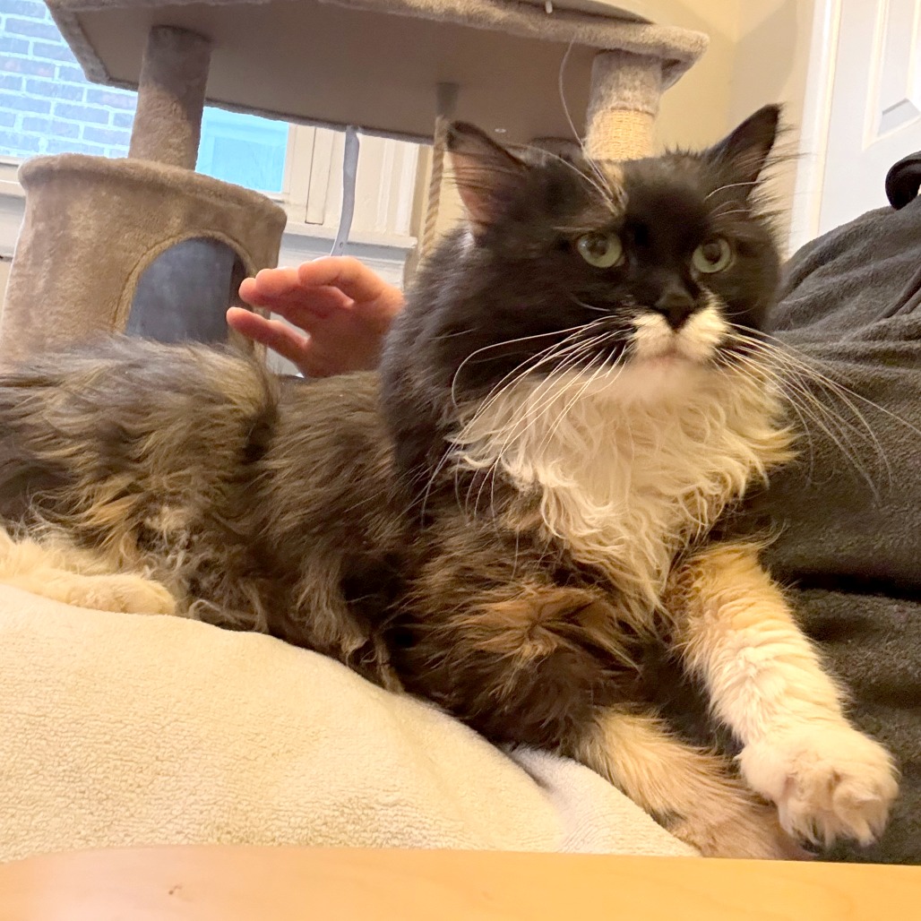 Leah, photo 25