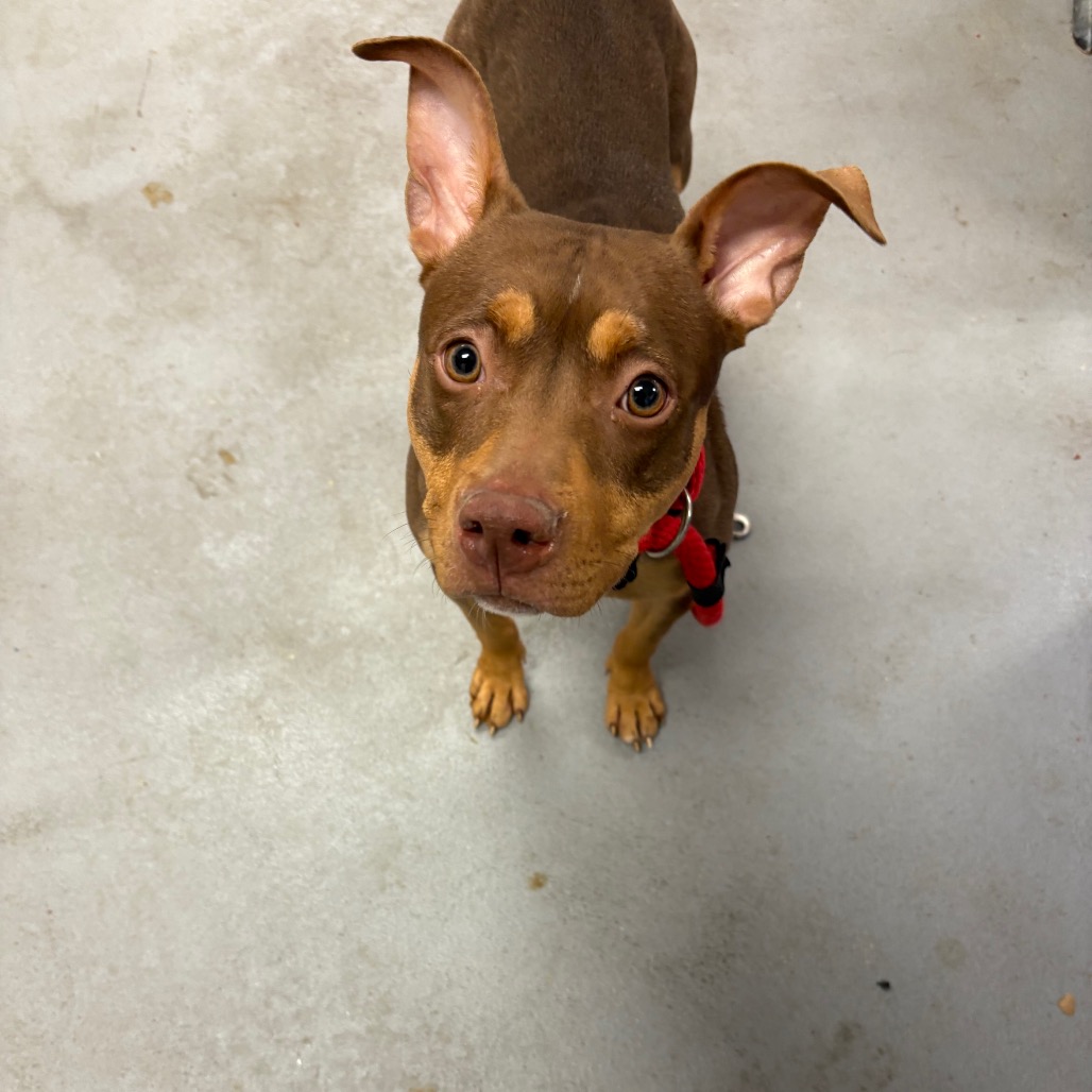 Nori — thumbnail 3