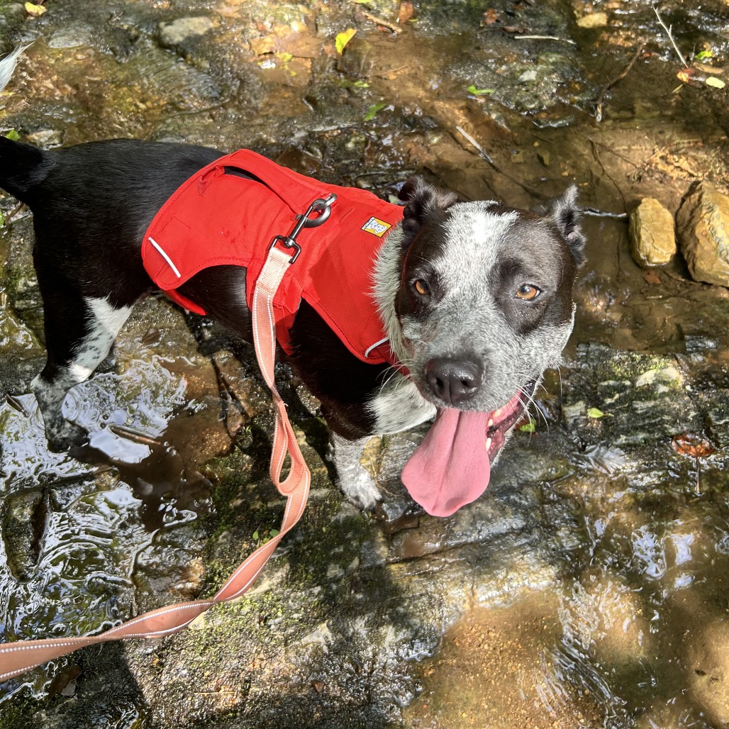 Tracker, photo 16